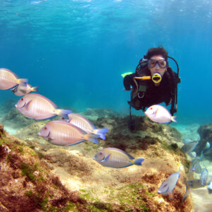 Scuba Diving in Goa