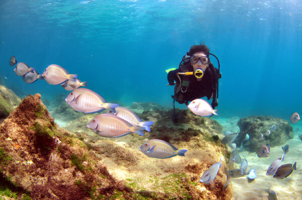 Scuba Diving in Goa